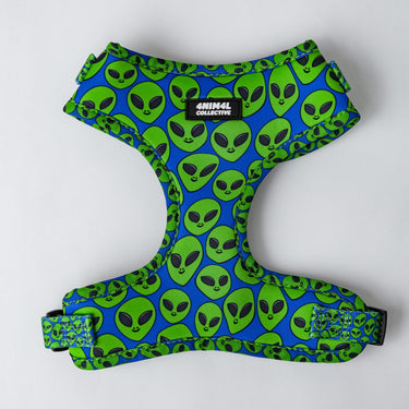 Entering the Area 51 Adjustable Dog Harness